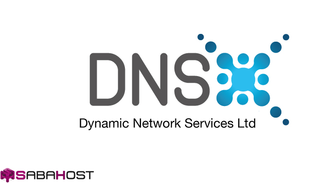DNS اختصاصی DNS اختصاصی