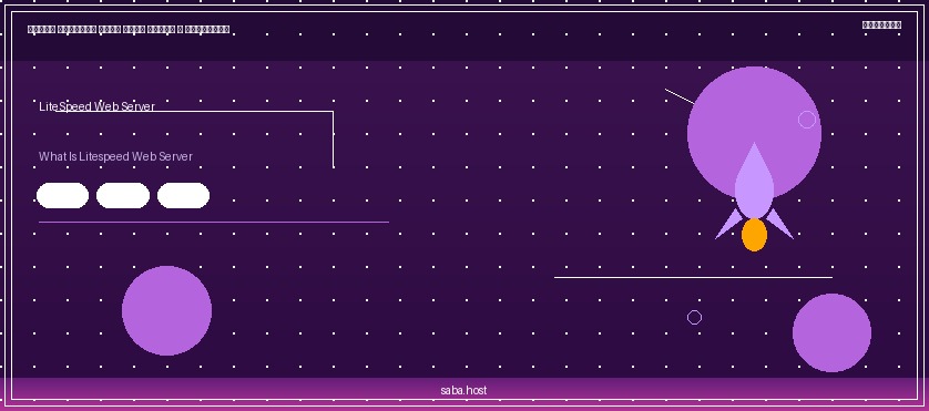 LiteSpeed چیست؟ وب سروری که سایت شما را موشک می‌کند!